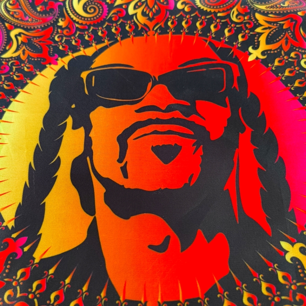 Snoop Dogg Skechers- backpack bag satchel carry all book bag ?